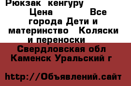 Рюкзак -кенгуру Baby Bjorn  › Цена ­ 2 000 - Все города Дети и материнство » Коляски и переноски   . Свердловская обл.,Каменск-Уральский г.